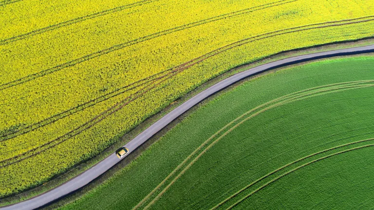 A car driving through a rape field