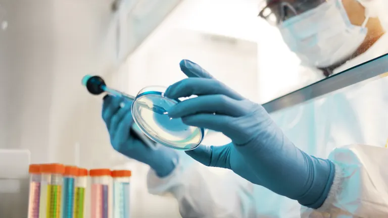 A scientist examining samples in a laboratory